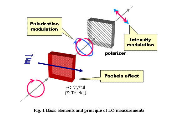 �e�L�X�g �{�b�N�X:  

Fig. 2 Basic elements and principle of EO measurements

