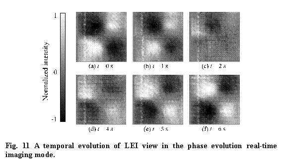 �e�L�X�g �{�b�N�X:  

Fig. 11 A temporal evolution of LEI view in the phase evolution real-time imaging mode. 
