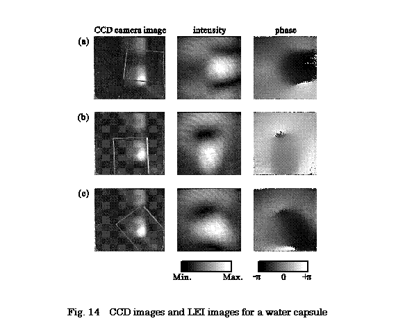 �e�L�X�g �{�b�N�X:  

Fig. 14  CCD images and LEI images for a water capsule
